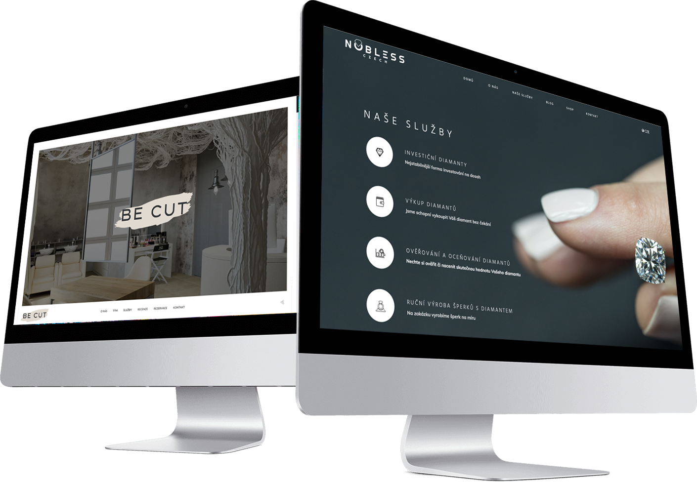 Background project showcase